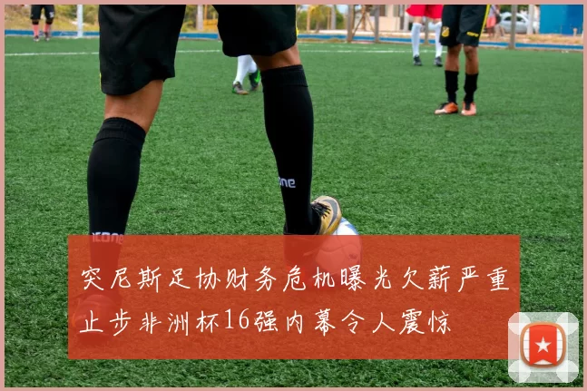 突尼斯足协财务危机曝光欠薪严重止步非洲杯16强内幕令人震惊