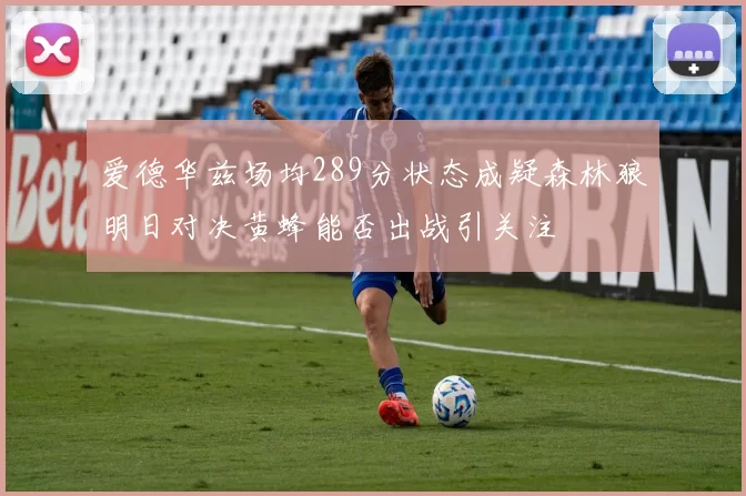 爱德华兹场均289分状态成疑森林狼明日对决黄蜂能否出战引关注